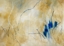 paintings on music of Morton Feldman and J�rg Widmann