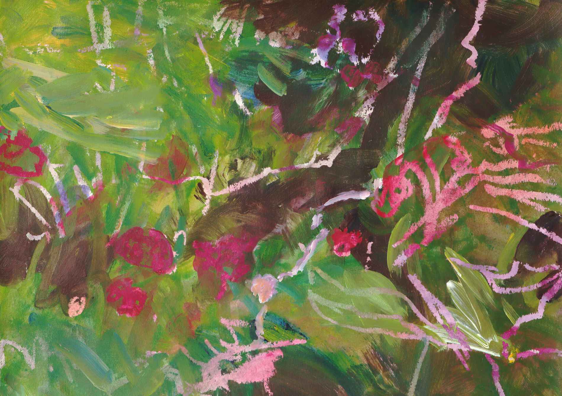 rote, rosarote Blüten und Triebe im Grünen